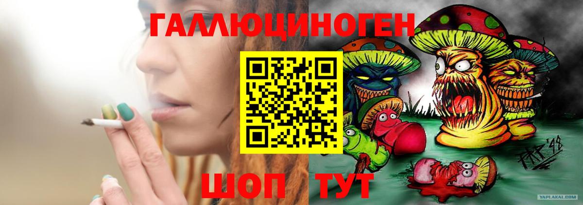 Ачхой-Мартан  Галлюциногенные грибы GOLDEN TEACHER  Галлюциногенные грибы GOLDEN TEACHER  Вход с VPN 